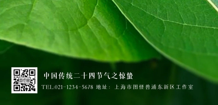 簡約驚蟄祝福全屏海報.