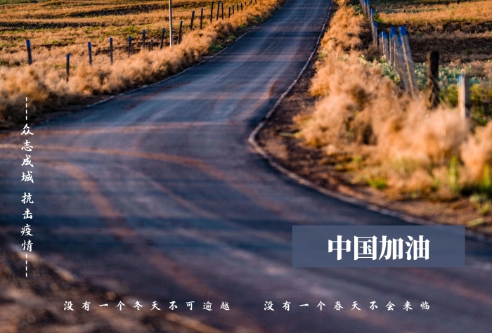 同心戰(zhàn)“疫”我們?cè)诼飞蟿?lì)志豎版海報(bào)