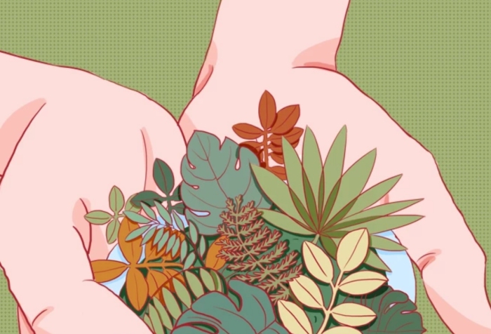 綠植認(rèn)養(yǎng)招募