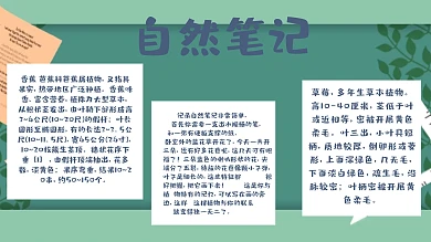 自然笔记手抄报卡通