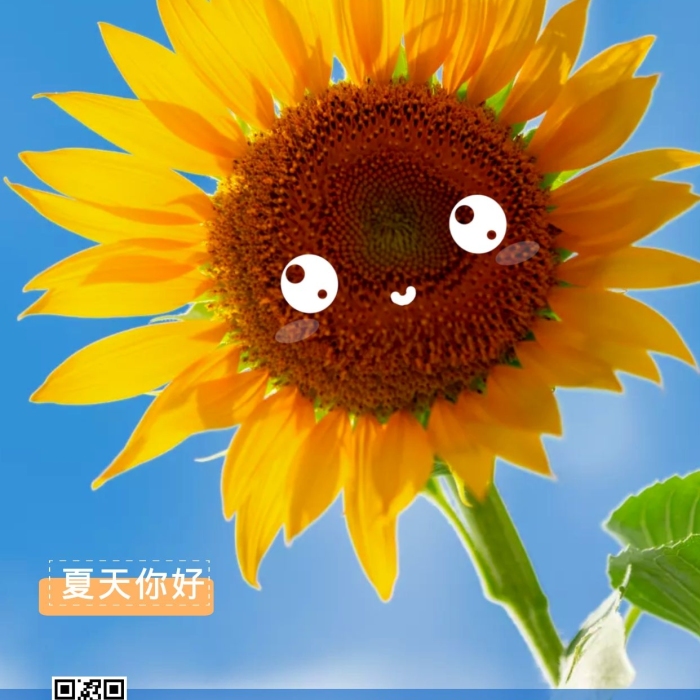 夏天你好向日葵太陽花鮮花手機營銷海報
