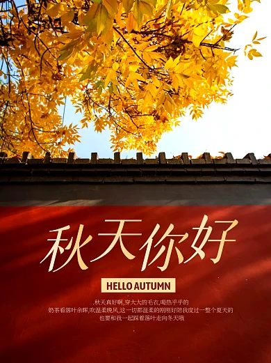 秋天黄叶秋天你好文案小红书封面配图