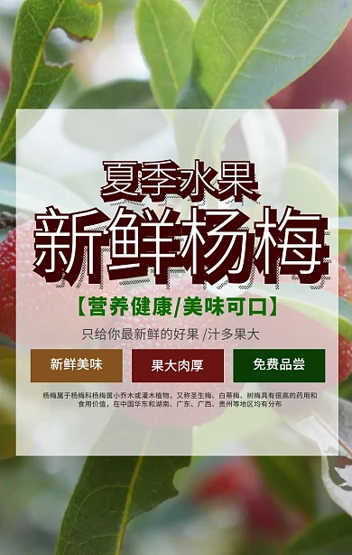 夏季杨梅水果手机海报