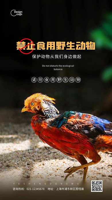 保护野生动物禁止食用公益摄影图海报