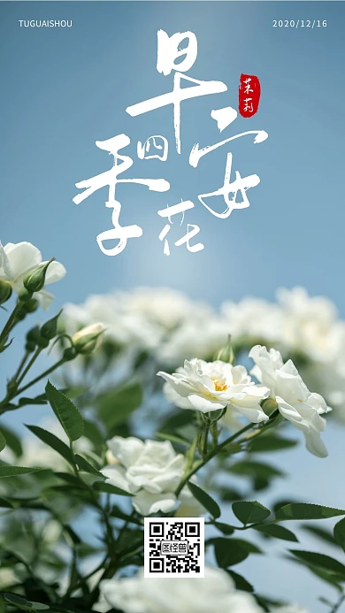 简约摄影清新早安四季花日签