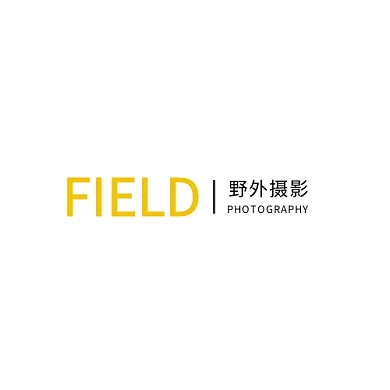 FIELD野外摄影简约黄色平面LOGO
