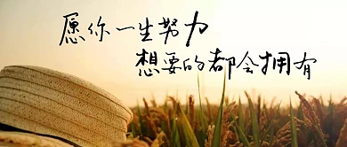 摄影图诗意的公众号封面图首页