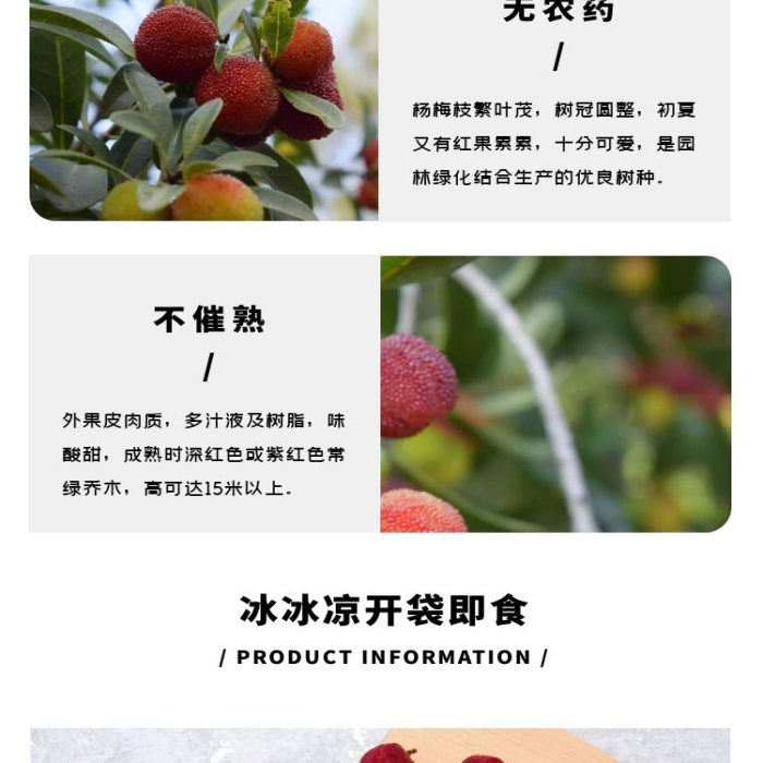冰鎮(zhèn)楊梅簡(jiǎn)約現(xiàn)代紅色食品茶飲詳情頁(yè)