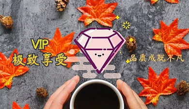 皇冠钻石时尚大气VIP会员卡