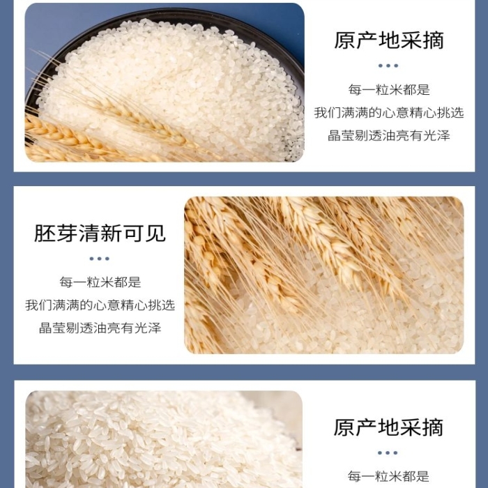 藍(lán)色促銷寶寶米簡(jiǎn)約詳情頁
