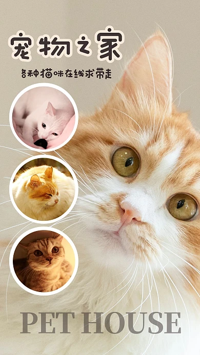 简约创意可爱宠物宣传通用摄影相册