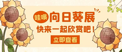 向日葵展意义橙色创意公众号首图