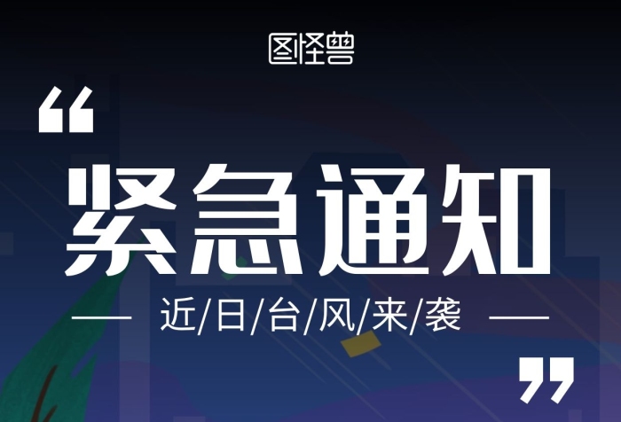 黑白文艺台风注意事项预警雨伞竖版海报