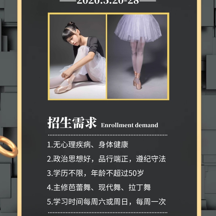 舞蹈班招生芭蕾舞黑色簡(jiǎn)約宣傳展架	