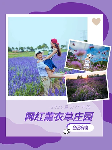 紫色薰衣草情侣旅行网红打卡小红书封面