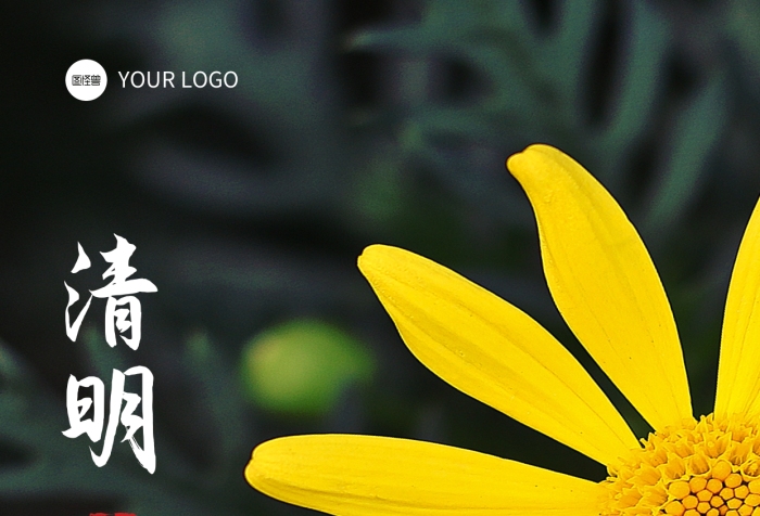 清明緬懷故去親人花朵簡(jiǎn)約攝影圖海報(bào)