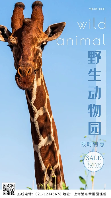 野生动物园蓝色门票宣传摄影图海报