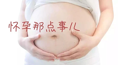 怀孕那点事儿公众号封面