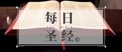 每日圣經(jīng)公眾號(hào)封面書籍大氣簡(jiǎn)約