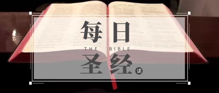 每日圣經(jīng)公眾號封面書籍大氣簡約