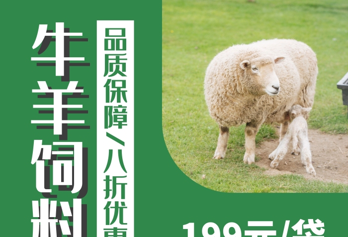 簡(jiǎn)約大氣綠色牛羊飼料海報(bào)