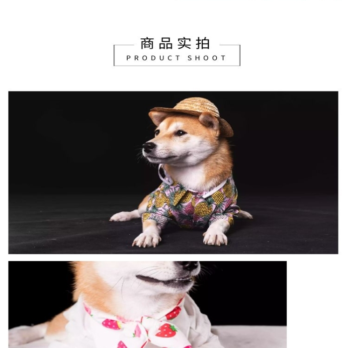 寵物衣服簡約時尚黃色日用百貨詳情頁