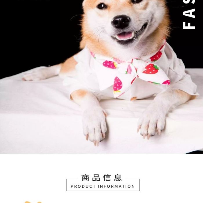 寵物衣服簡約時尚黃色日用百貨詳情頁