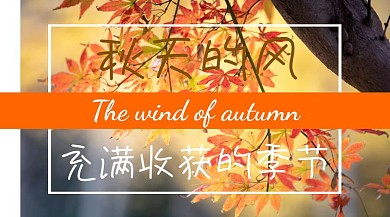 簡(jiǎn)約系充滿收獲季節(jié)的金黃色秋天公眾號(hào)封面