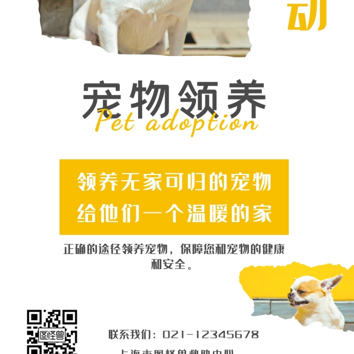 動(dòng)物救助站流浪貓狗領(lǐng)養(yǎng)簡約手機(jī)海報(bào)