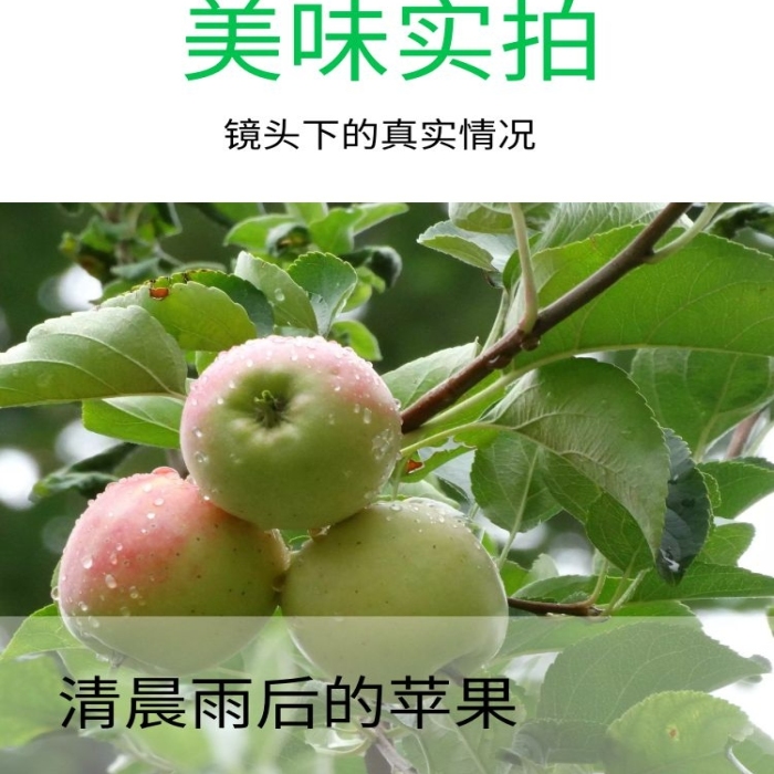 簡(jiǎn)單水果蘋果簡(jiǎn)約大氣淘寶詳情頁(yè)	