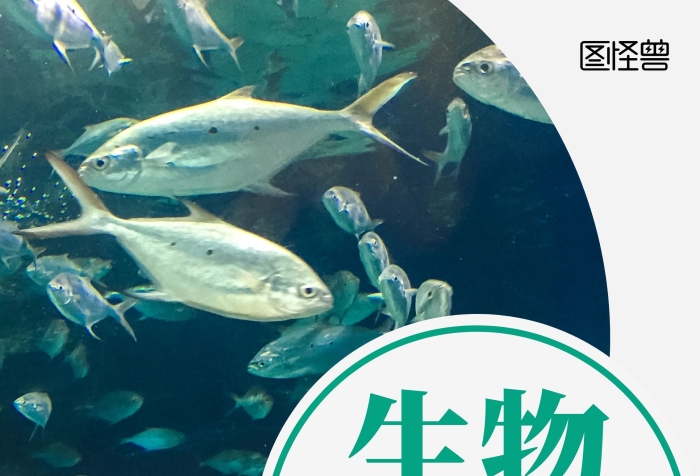 生物產(chǎn)品展架青色淡色白色簡(jiǎn)約配圖宣傳