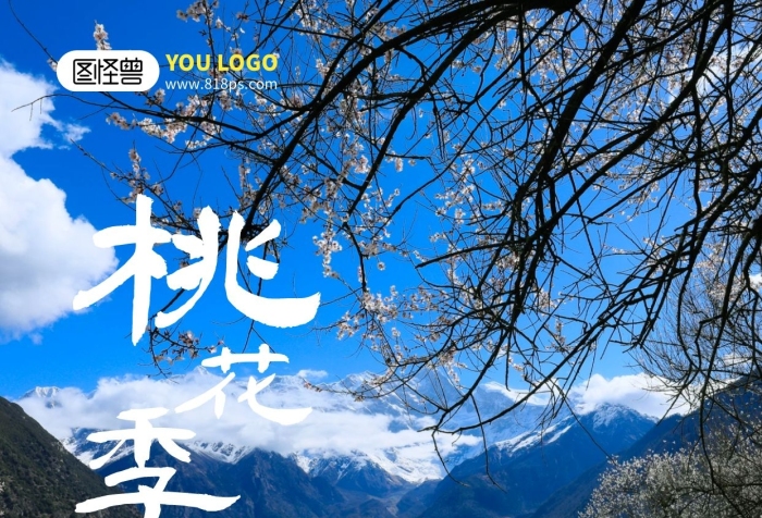 西藏林芝桃花節(jié)賞花旅游海報