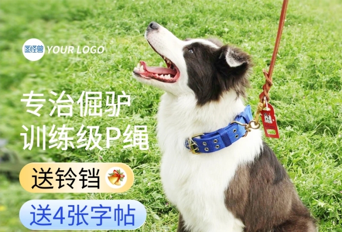 宠物牵引绳狗绳主图直通车