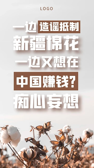 造谣新疆棉花摄影图海报