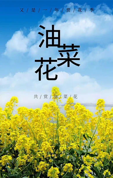 油菜花旅行记黄色摄影实拍海报H5模板