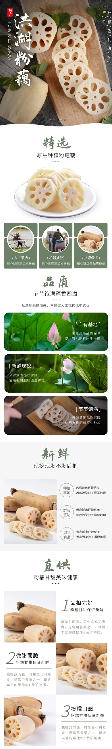 洪湖粉藕蔬菜简约清新绿色食品详情页