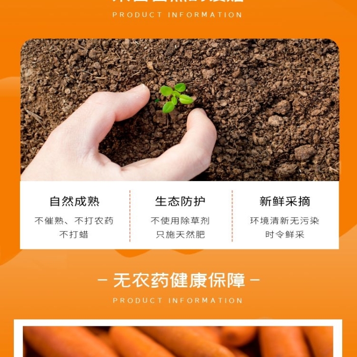胡蘿卜清新簡(jiǎn)約橙色蔬菜食品詳情頁(yè)