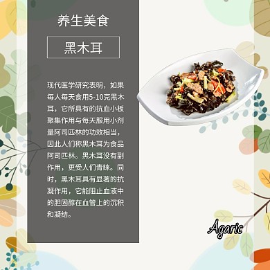 東北東三省黑木耳養(yǎng)生美食特產(chǎn)公眾號配圖