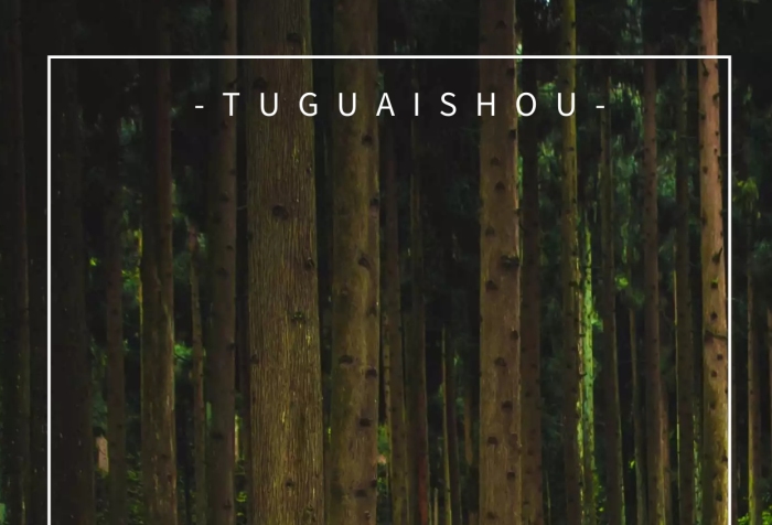 招聘護(hù)林員綠色簡(jiǎn)約風(fēng)手機(jī)海報(bào)