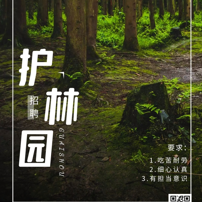 招聘護(hù)林員綠色簡(jiǎn)約風(fēng)手機(jī)海報(bào)