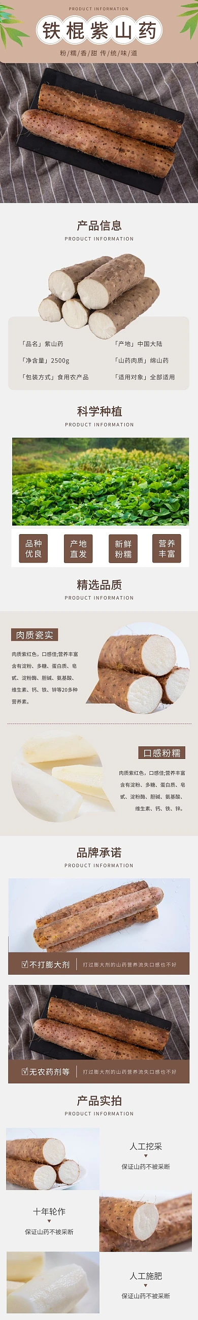 铁棍紫山药简约褐色食品详情页