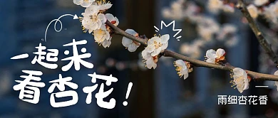 杏花公众号封面首图