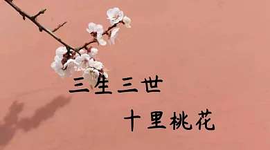 三生三世红包公众号封面