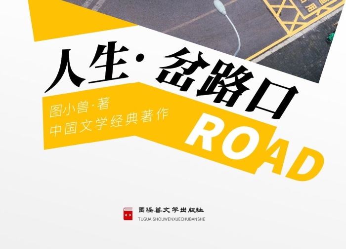 人生·岔路口中國文學(xué)書籍封面