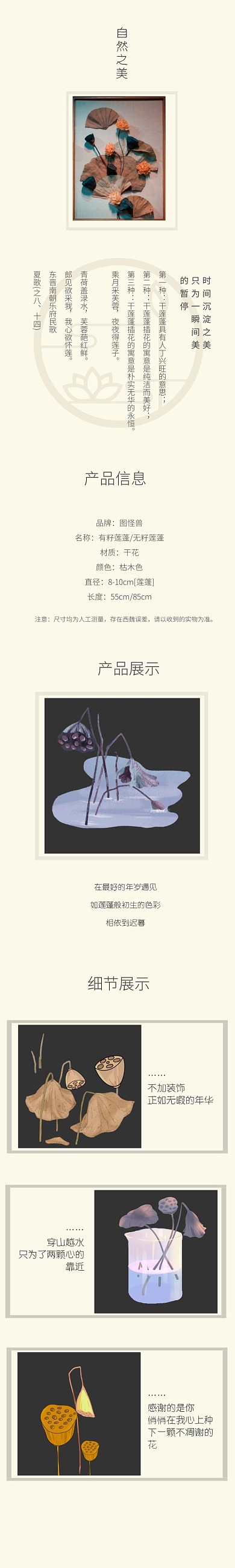 插花藝術(shù)品雅致干蓮蓬復(fù)古風(fēng)詳情頁