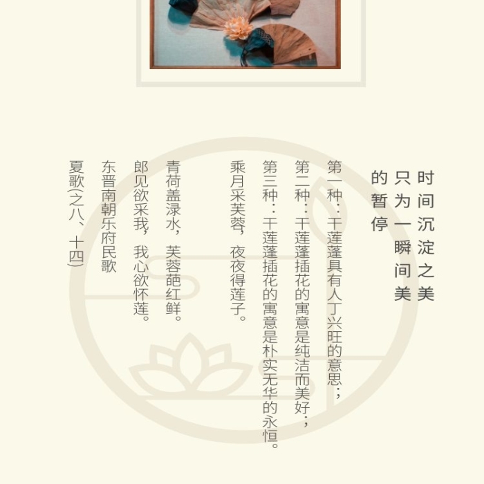 插花藝術(shù)品雅致干蓮蓬復(fù)古風(fēng)詳情頁(yè)