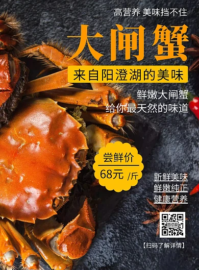 阳澄湖大闸蟹线框黑色简约旅游海报