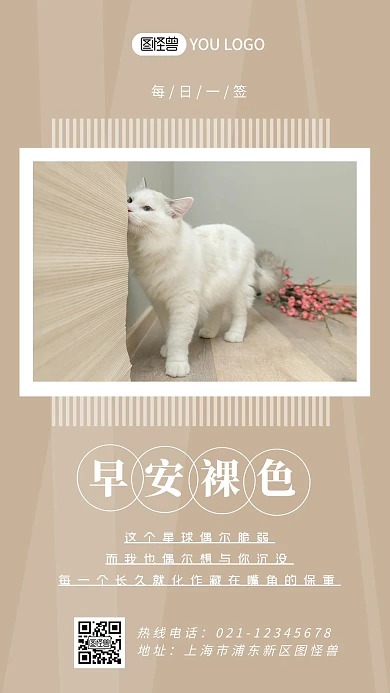 每日一签奶茶色早安裸色萌宠猫咪可爱日签