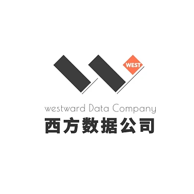 黑色橙色文字字母W字简约数据公司logo