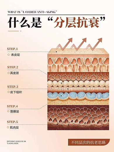 分层抗衰护肤知识科普小红书封面